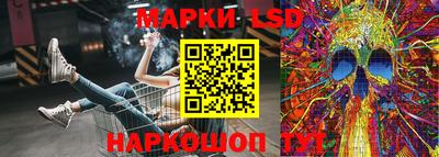 гидра Кинель