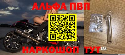 гидра Кинель