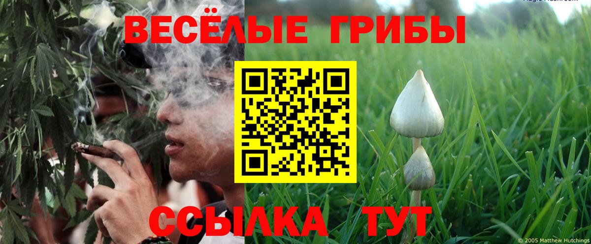 Галлюциногенные грибы мухоморы Кизилюрт