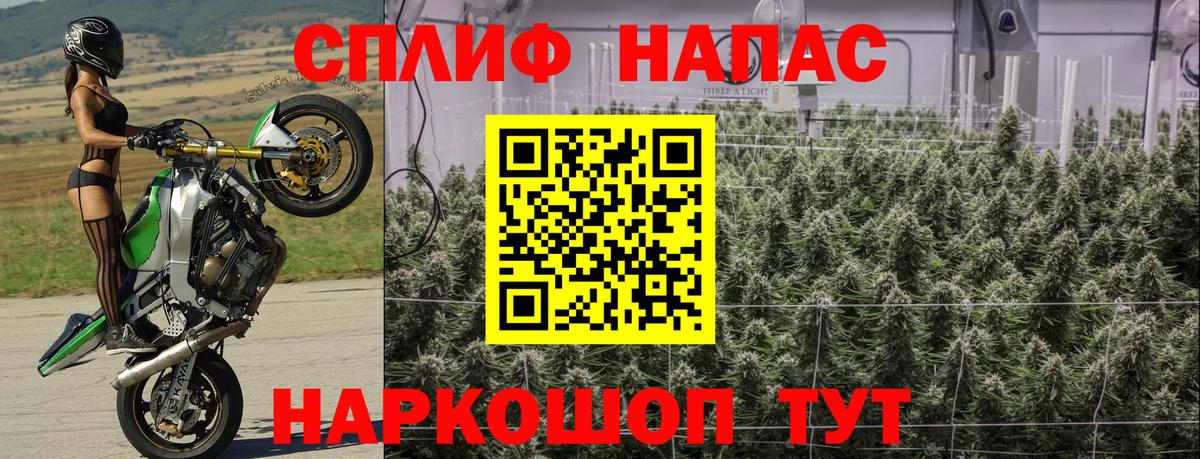 Бошки марихуана AK-47  Вход с VPN  Конопля конопля  Кизилюрт  Каннабис THC 21%  Бошки марихуана планчик 